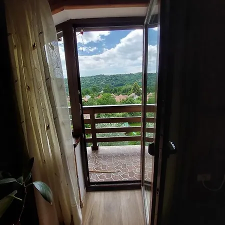 Casa Bunicii Guest house *